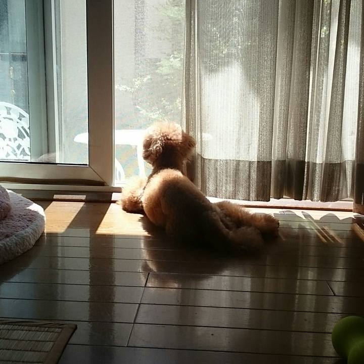 A108a548 8cee 4acf 89b6 0063d645d1a4