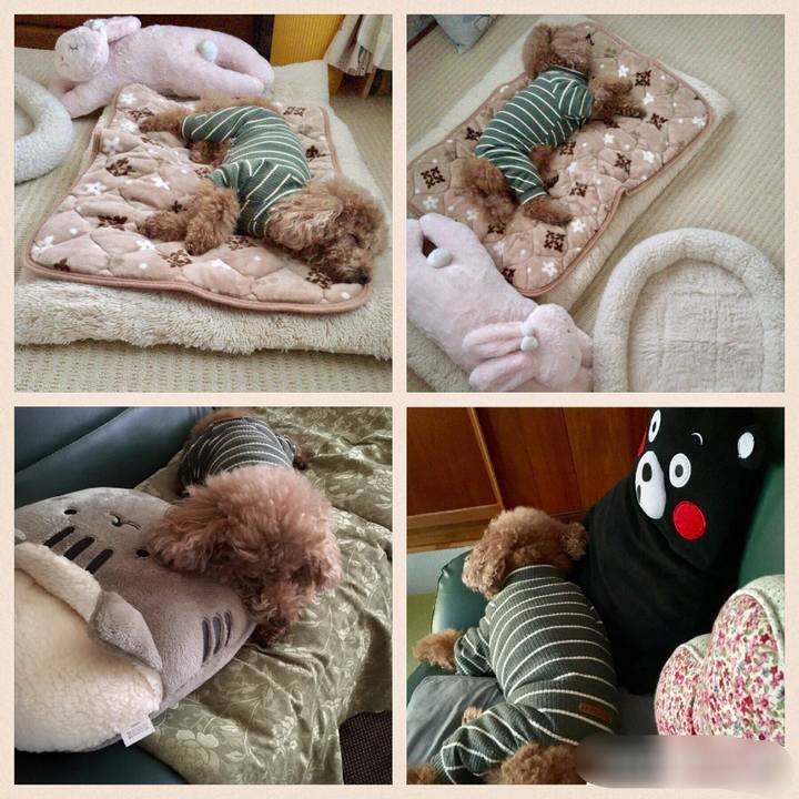 A1092d22 7b30 4c49 9a2a ca5f26171c30