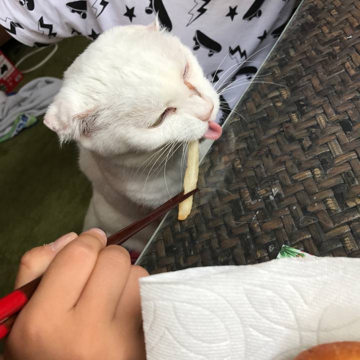 A10a340f 2622 4fc4 b537 390e0ab0231b