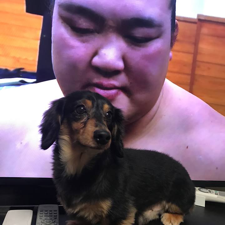 A10a9c91 75a4 4ad6 9389 5ec57866d25f