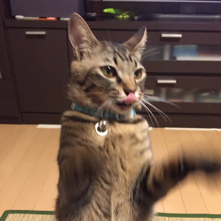 A10ad9b9 000c 4e1b bc88 ffe9671d3815