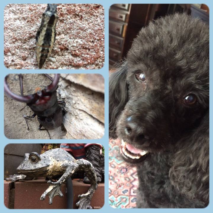 A10af272 578f 4352 82c0 4e41e372f32c