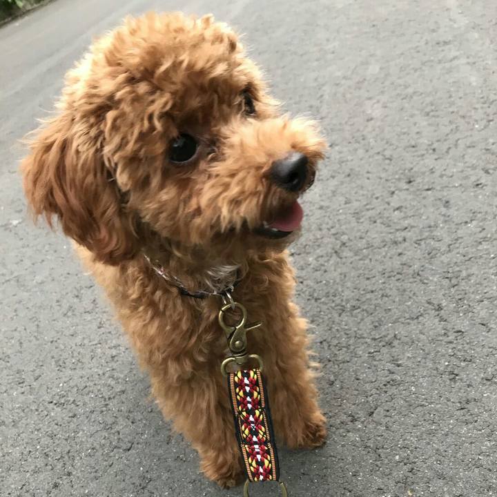 A10b138c c522 4f7d ad61 d225893e1494