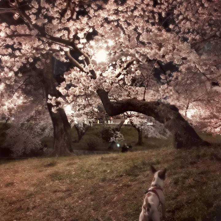 A10b4cef 1ac8 4b03 9781 cb9c9a7f2906