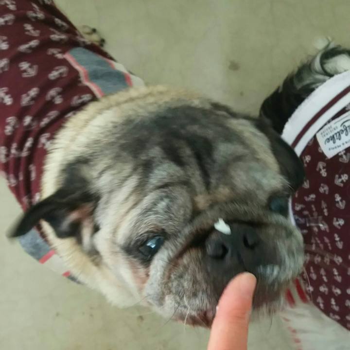 A10bb5c2 cb5d 4ab4 ae45 9068cb04b670