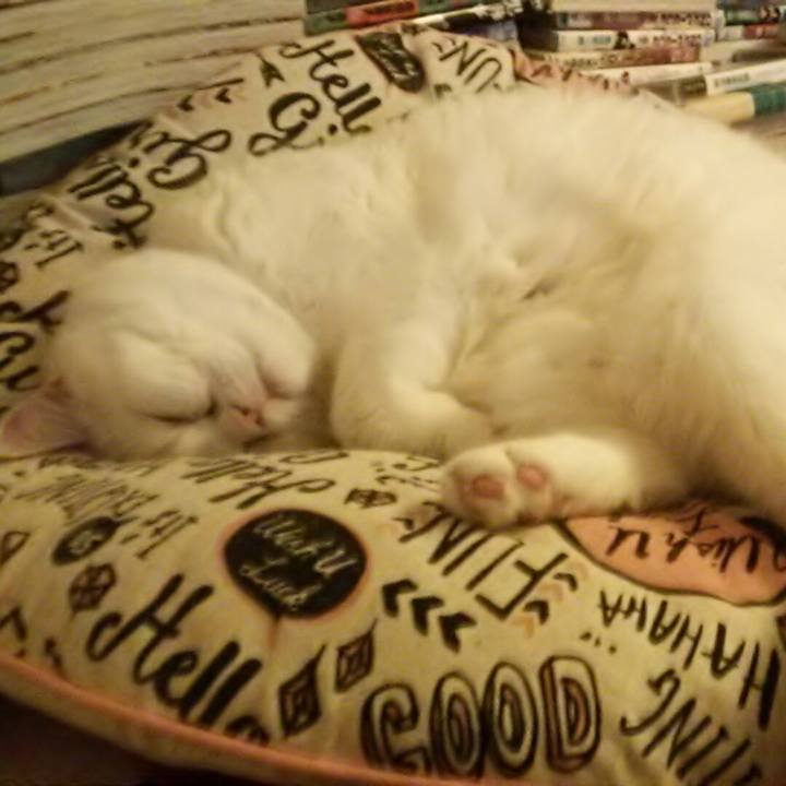 A10be5a1 5b48 4dc8 afb0 c977332e1b93