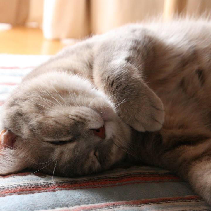 A10c2b79 e3db 450d 9f75 73e0c8144b68