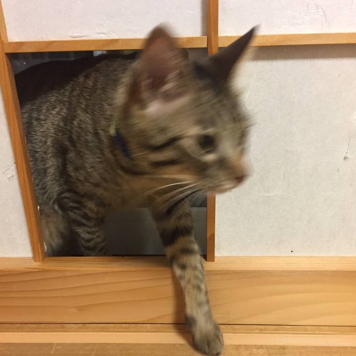 A10c2f40 64a7 44ea 9063 a3af72ada24f