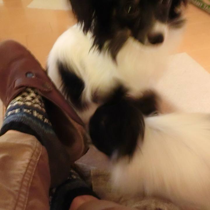 A10c5636 ae7e 4020 8317 60dd7c180219