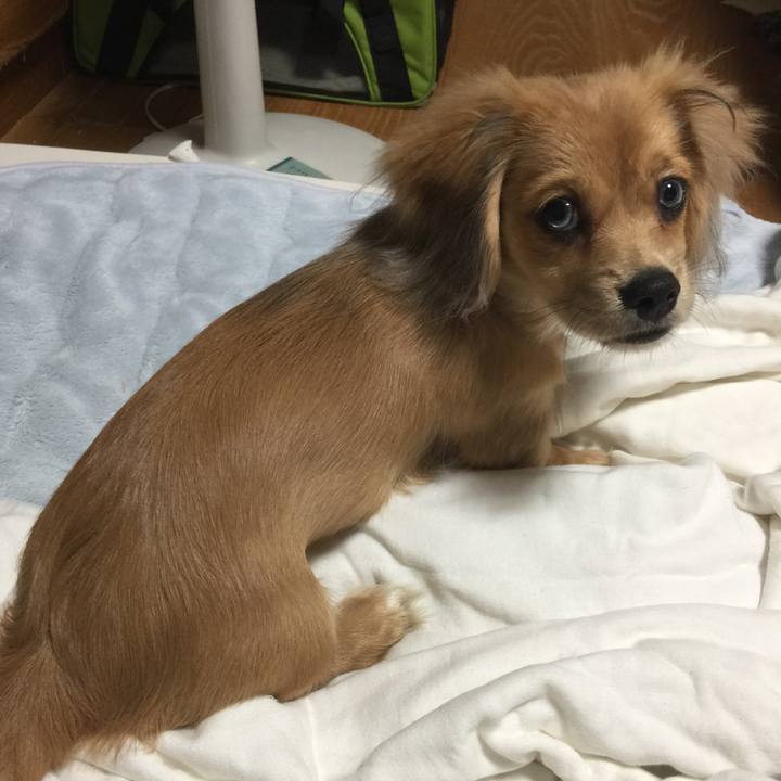 A10c887f c988 4bda 95d7 52ae6d67543b