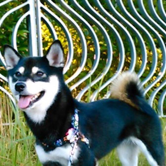 A10dc3de e458 43eb a612 47b25ee37d0c