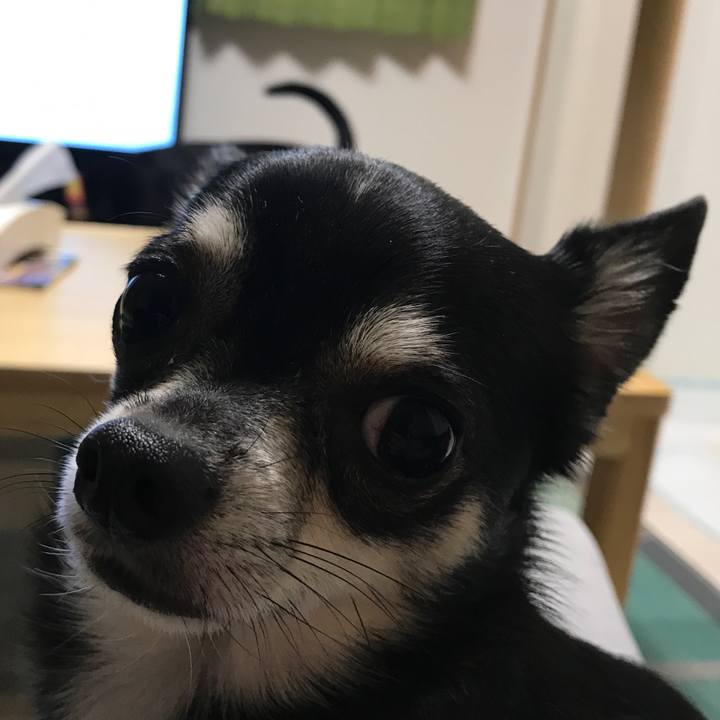 A10dcbc5 ec35 4ac9 a172 fc62c3809b88