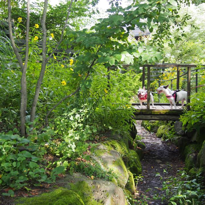 A10e3ae1 a0ef 4db1 8507 a54b5c2a01af