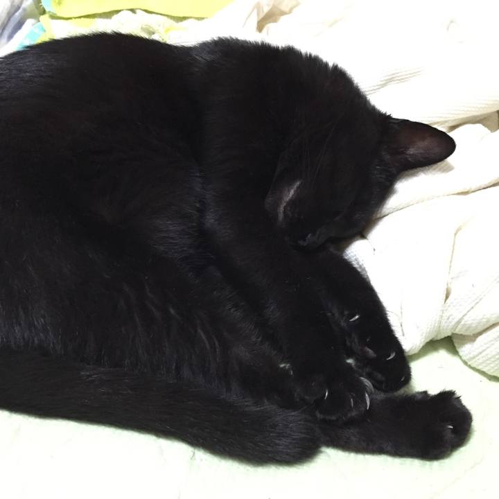 A10e7440 7cf3 48c8 8558 b70584a68be9