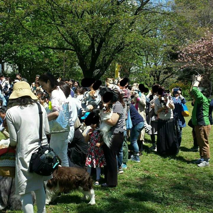 A1101813 12cd 43cf 939b 8df21117d525