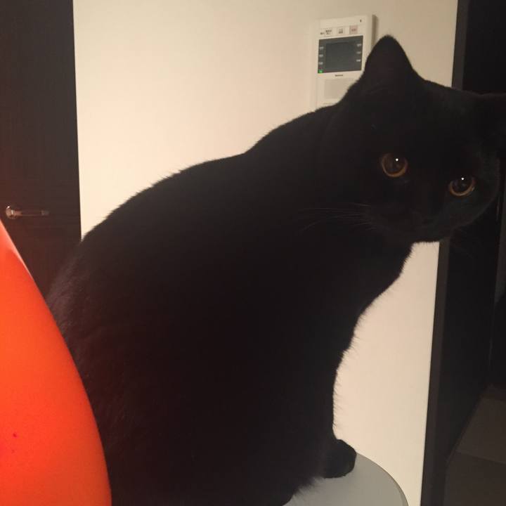 A1103071 8758 4930 a08c 33629a2fe412