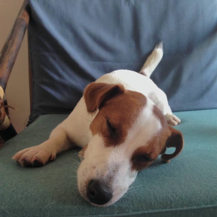 A1104985 67fe 46de aa7e 0d4aead149a9