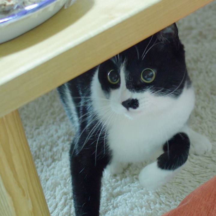 A110a5ac bd80 4ccc a70c 473dd4b61b3b