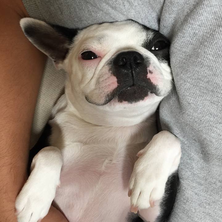 A11119a1 616e 4a4b 880a 42e250ee326b