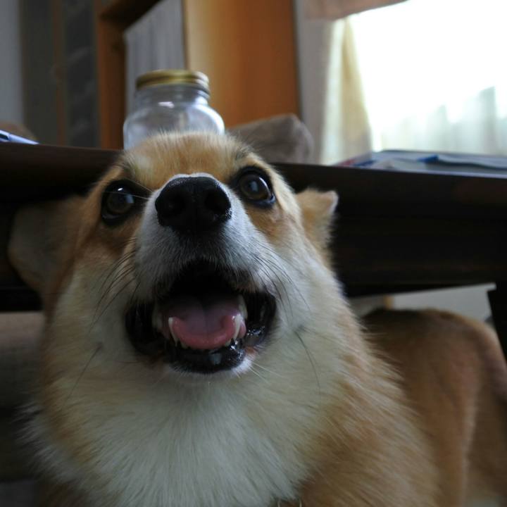 A1115ff1 1503 4162 915a 17453717b43f