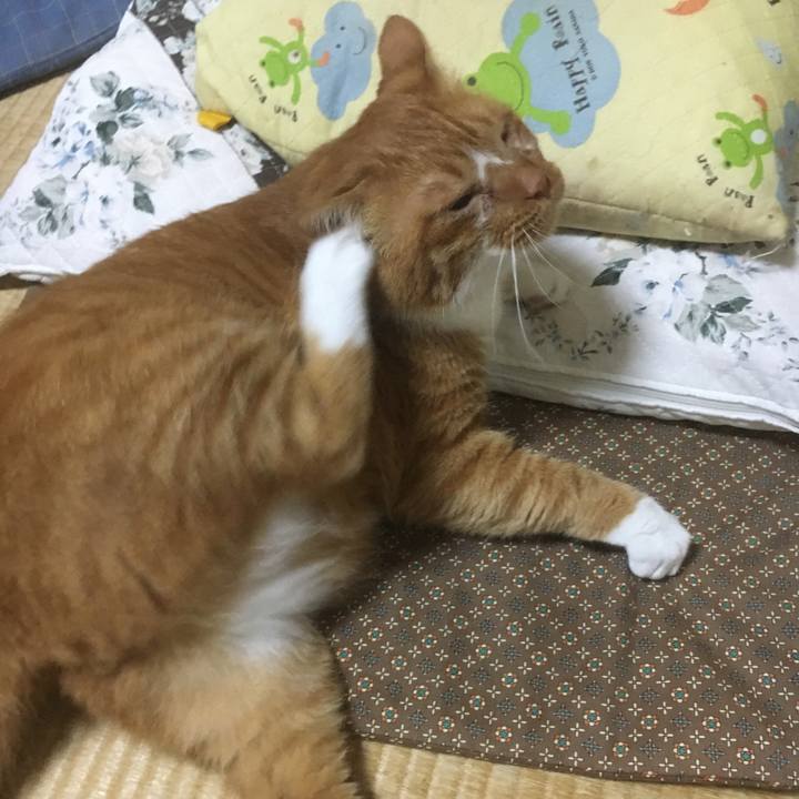 A1124e7c f8e6 4c17 94ad 1efd7c3cda21