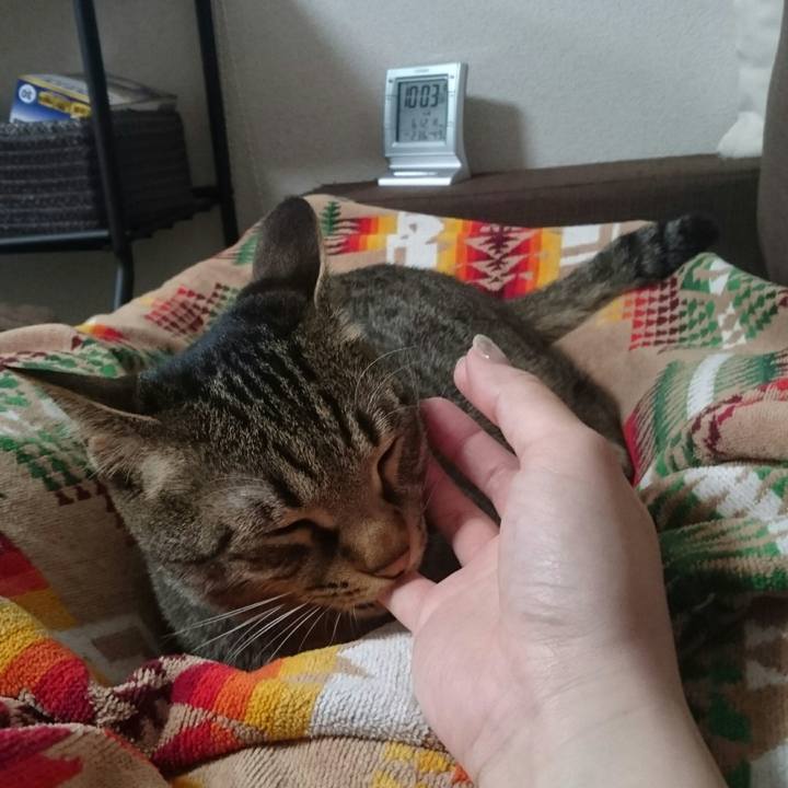 A112908a 9d2b 4381 92df 6e3e9d166e22