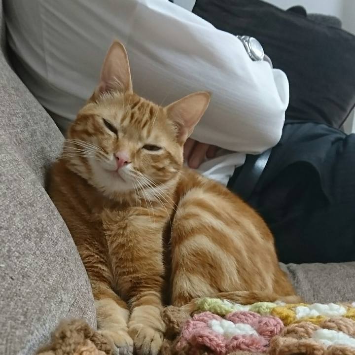 A1132d1d ac4d 4a4d 9af9 d54123f3acf5