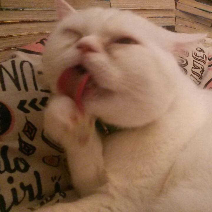 A113468e 9b35 4ce9 a9b4 80ef2d573ba1