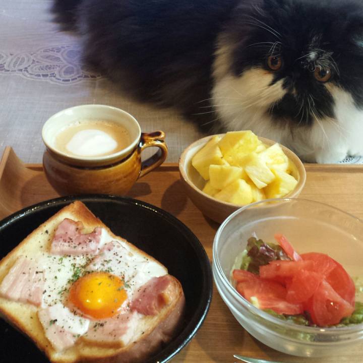 A1134e8b 99e1 47b0 9a37 475575eb806a