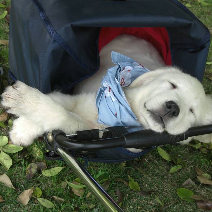 A113a558 f65b 4abd b5f0 33e82a991fb3