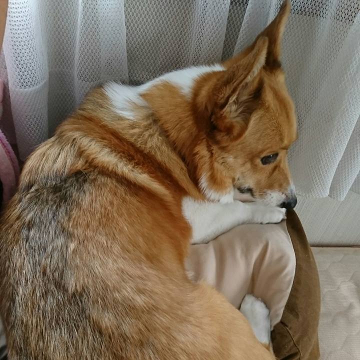 A11495af 942a 44c9 995f 7346f2c9e73f