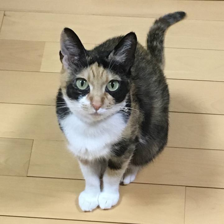 A11513fc 7e8f 48fd 984b def336809a92