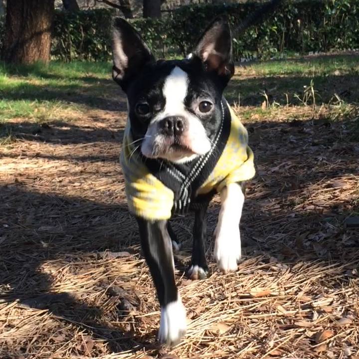 A1152980 e705 47e7 a845 88223f5b66ae