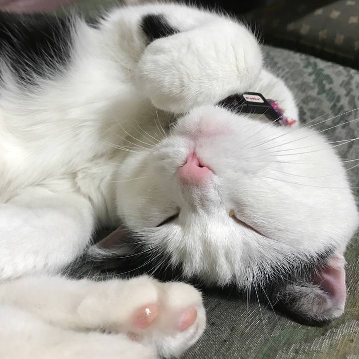 A1171108 e248 4d78 8e46 f746209f60cf