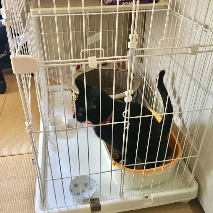 A117947c 2b2d 491b 82dd 35c6c9f10a42