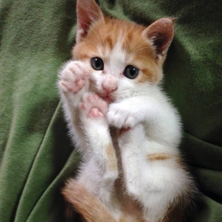 A117ee5d 9768 4e70 a396 3ee7f88c19ff