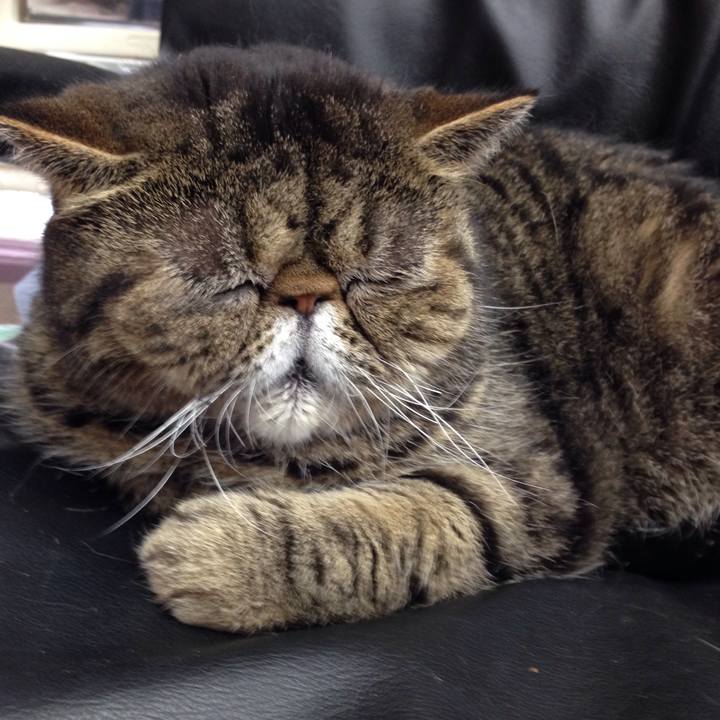 A11825bf 8122 4860 b4ac 050d29c0d79e