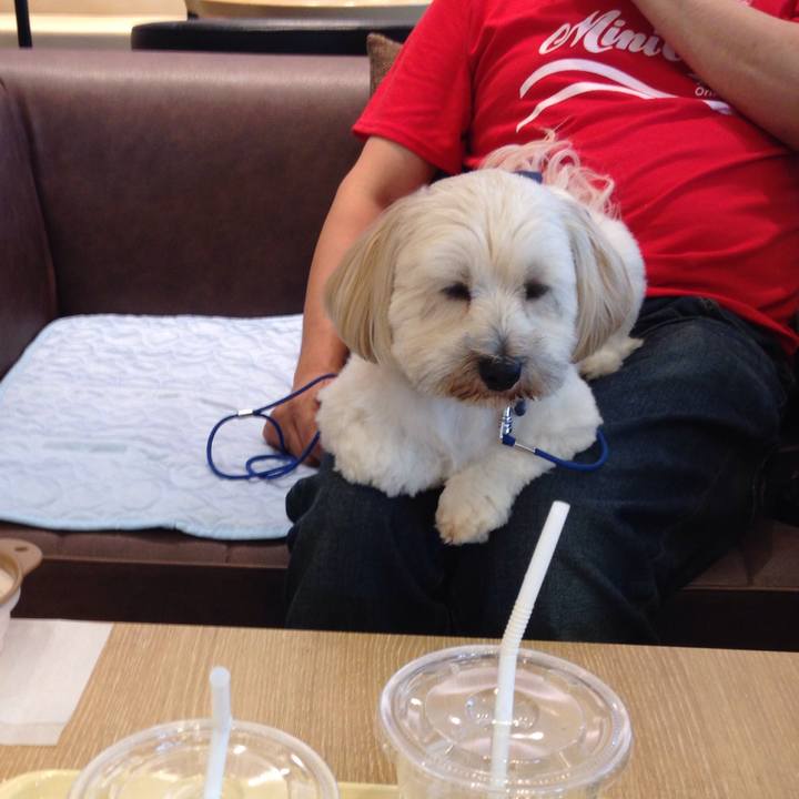 A118b084 3f2b 4e69 9e2e a1f7bdedca89