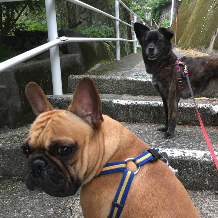 A118dba3 2c32 4166 8617 6cd912ba71b7