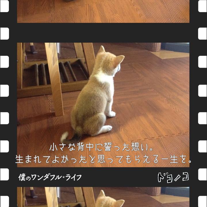 A1199c52 9652 4529 a972 81d3d0c403d2