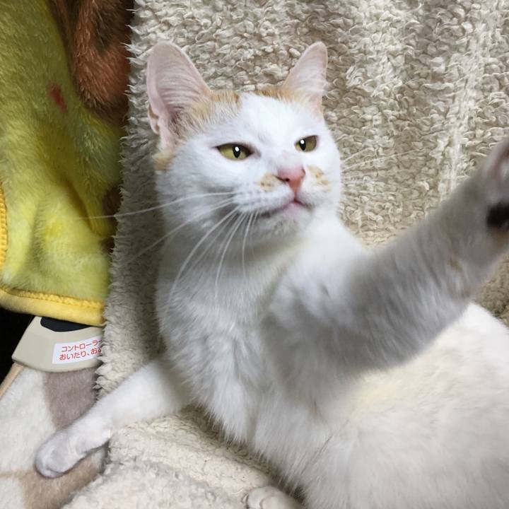 A119e97e bf3f 4510 b3a1 e1150a910c7a