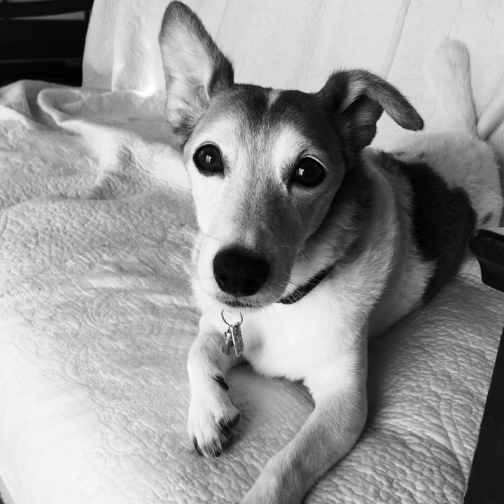 A119f76e 65b0 43f7 b4ac 42d7874651f6