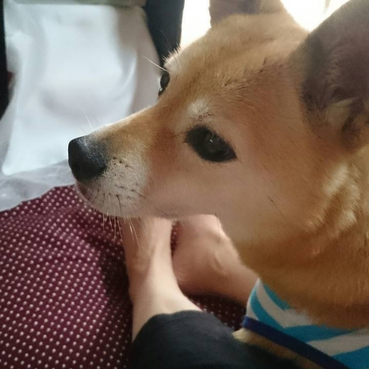 A11a5806 7d35 4f4a acdb 8e7de42b3d28