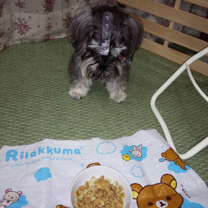 A11b0482 6607 43f3 b695 5aa1f4ed3720