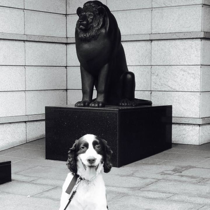 A11b2fef 189d 4982 b926 c42e85db04d6