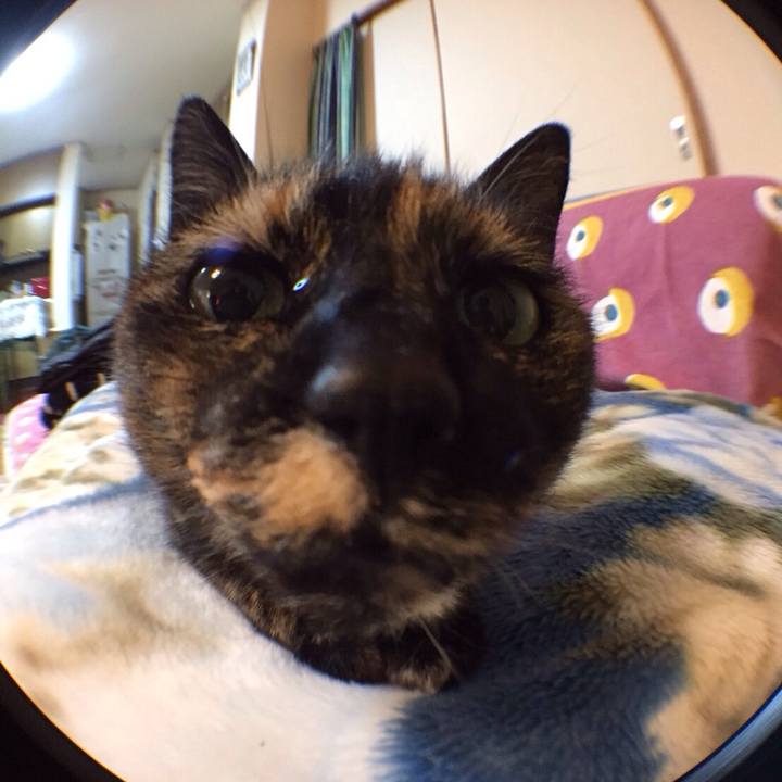 A11b3b84 88bd 4090 838c 869fc9d36e96