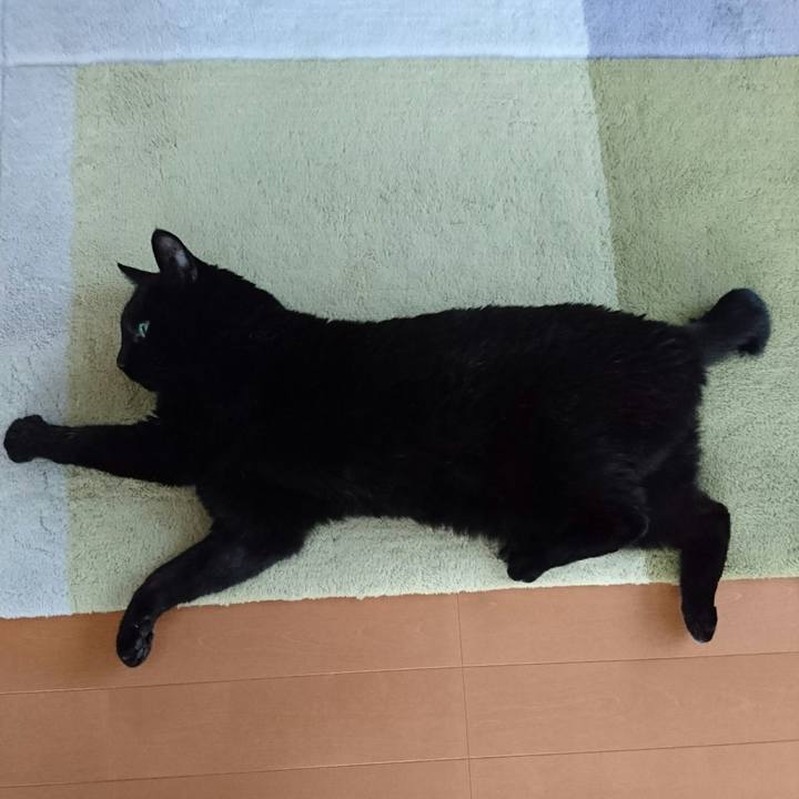 A11b5839 90af 4aba 9c56 1933d83285a2