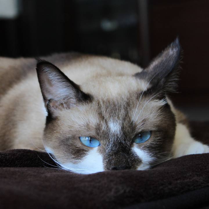 A11c61c0 ba3e 4ee7 b1fd de7ae02ff495