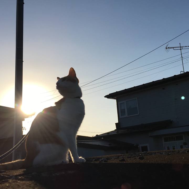 A11c87af 589b 4727 ad32 62cfff7c5d7d