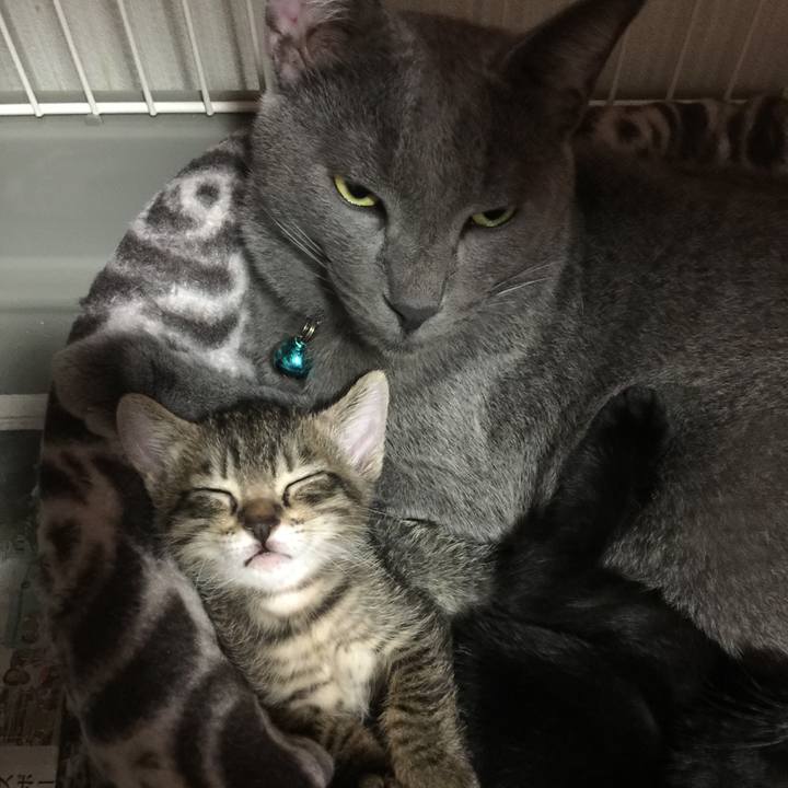 A11c8814 bce3 4db9 8fee 1d3f916f8ba1